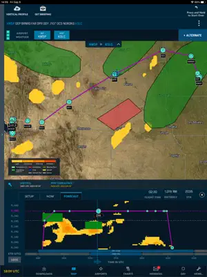 WSI Pilotbrief Optima screenshot 3