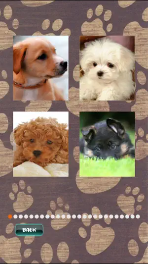 Cute Puppies Puzzle screenshot 2