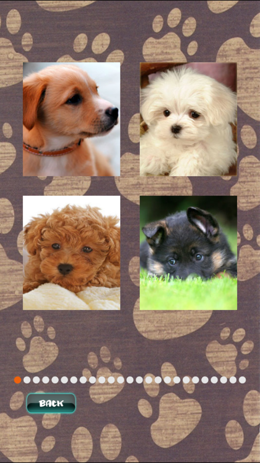 #2. Cute Puppies Puzzle (iOS) By: John Smith