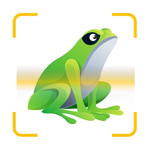 Frog Identifier Frog Sound ID
