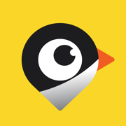 Kibbi: Local Jobs Search