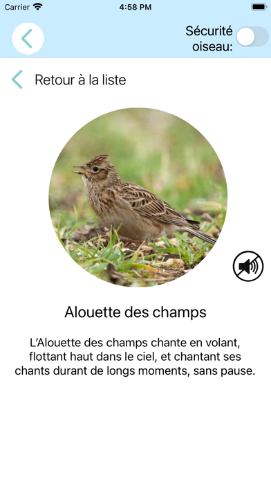 CuiCuiMatique chants d'oiseaux Screenshot