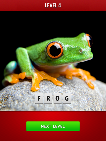 Zoom! - Magnified Pics iPad screenshot 3 - Games app