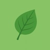 Plant Identifier AI - LeafID icon