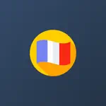 Dictionary of French Language App Problems