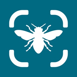 Insect Bug Identifier