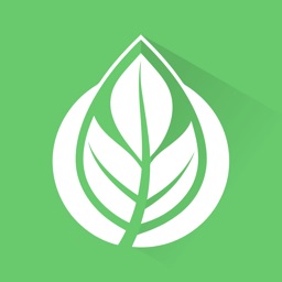 Vegan Recipes: Calorie Planner