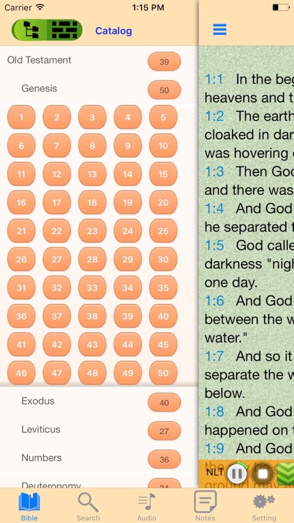 NLT Audio Holy Bible