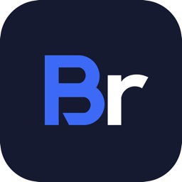 BReports