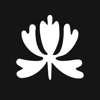 Today - Habit Tracker - Webron Software LTD