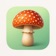 Mushrooms - Photo Identifier app icon - Reference app for iPhone