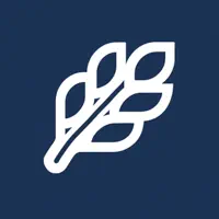 Baraem Staff