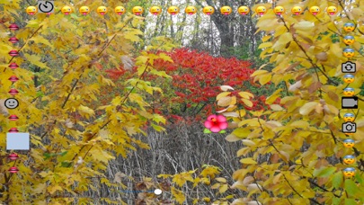 Emofoto iPhone screenshot 4 - Photo & Video app