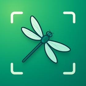 Snímky obrazovky (4) Bug Identifier - Butterfly