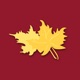 FNB Grayson Online app icon - Finance app for iPhone