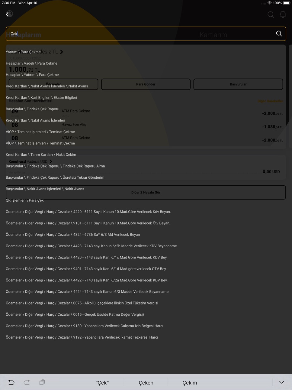 iPad screenshot
