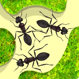 Snímky obrazovky (6) Ant Farm Simulator