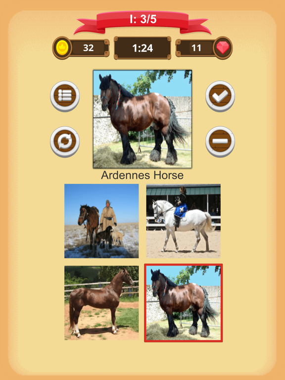 Horse Quiz iPad screenshot