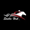 Stable Hub icon