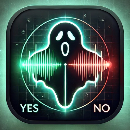 Paranormal Spirit EMF Yes / No