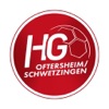 HG Oftersheim/Schwetzingen icon