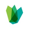 Emerald Setup icon
