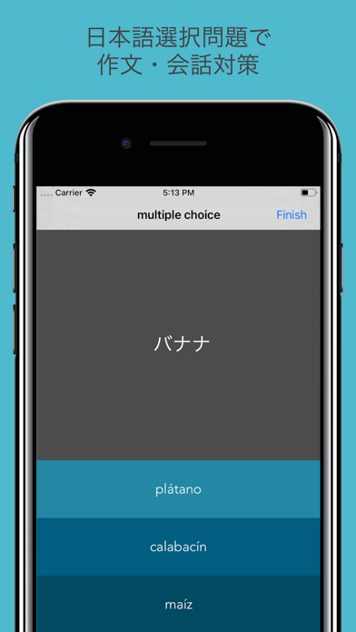 Pro - Basic Spanish Vocabulary screenshot