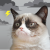 Grumpy Cat's Funny Weather - Weather Creative Inc.