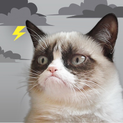 Grumpy Cat's Funny Weather