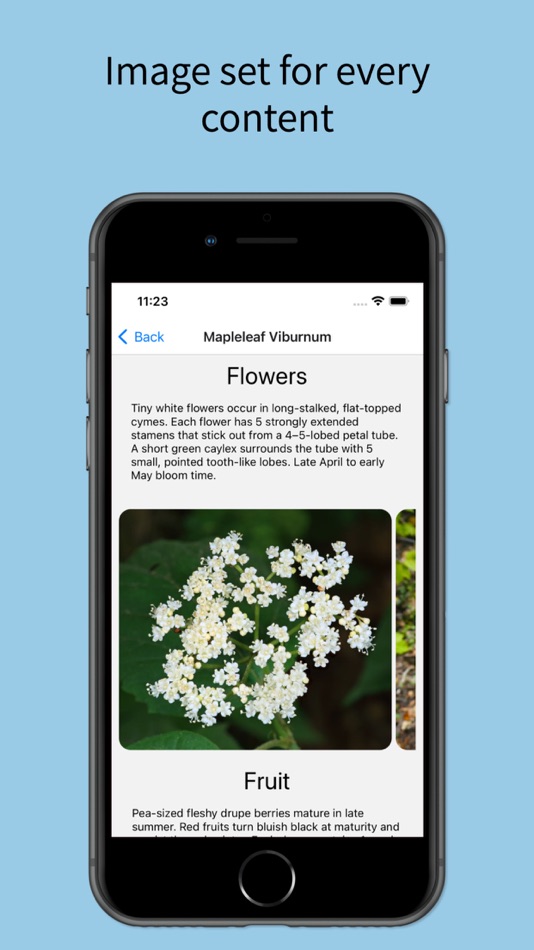 #3. Let Grow (iOS) Podle: Grow With Trees