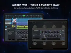 Blackhole Reverb iPad image 3