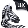 Investec UK icon