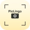 PicLingo icon