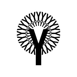 Yashkoff химчистка