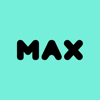 max it finance - MAX IT FINANCE LTD