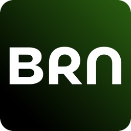BRN: Budget & Debt Planner