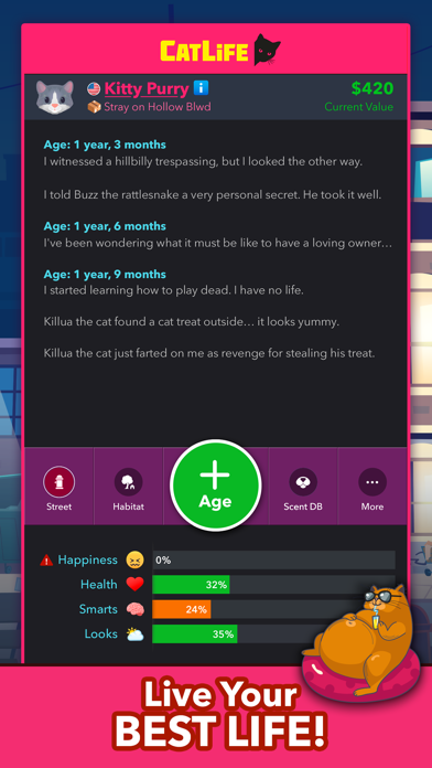 BitLife Cats - CatLife Screenshot