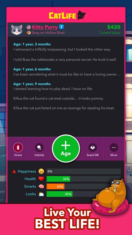 BitLife Cats - CatLife screenshot-3