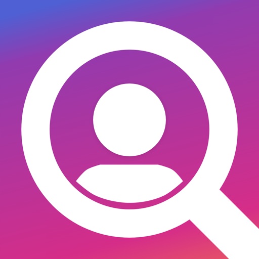 Visor de Perfil Story - Poze