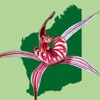 Western Australian Orchid Key icon