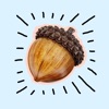 Acorn Catalog icon