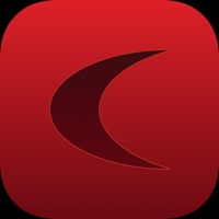 CopyIt The Grid Drawing Method app icon - Productivity app for iPhone