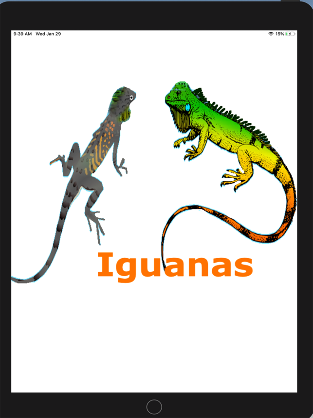 ‎Two Iguanas Screenshot