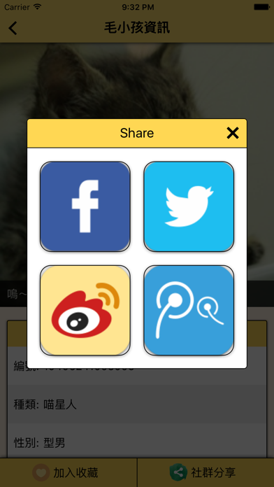 領養毛小孩 screenshot