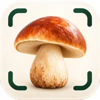 Mushroom Identifier: Mycore