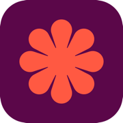 New strava