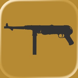 Guess the Modern Firearm