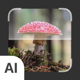 Snímky obrazovky (3) Mushroom Identifier:AI Scanner