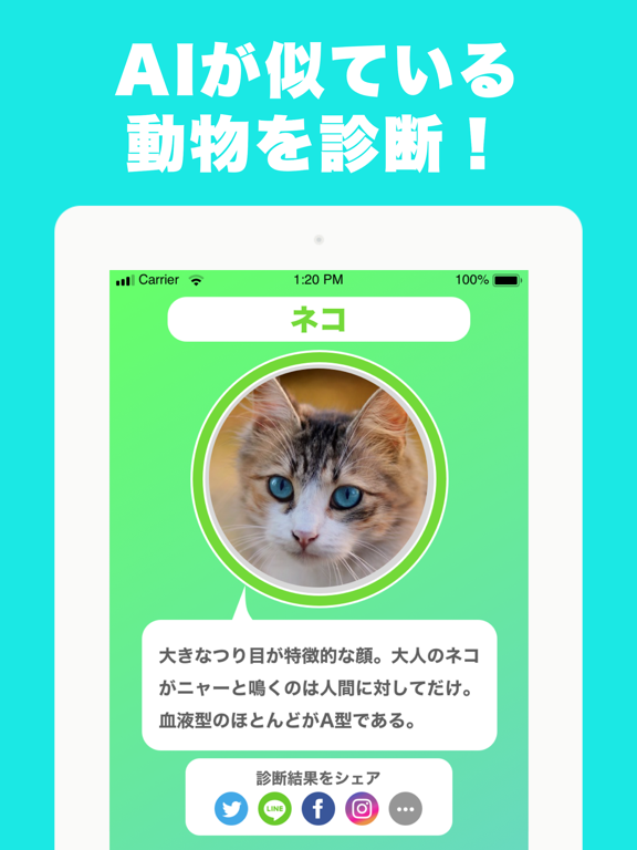 「動物顔診断」AIが似ているどうぶつ 顔診断 アプリ カメラ
