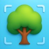Tree Identifier: Tree AI